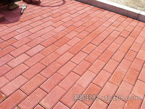 長沙動物園項目